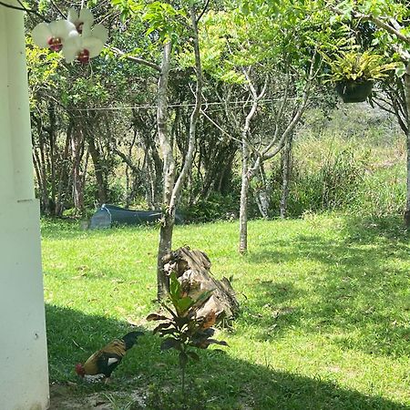 Bed and Breakfast Morada Fenix Guarda do Embaú Exterior foto