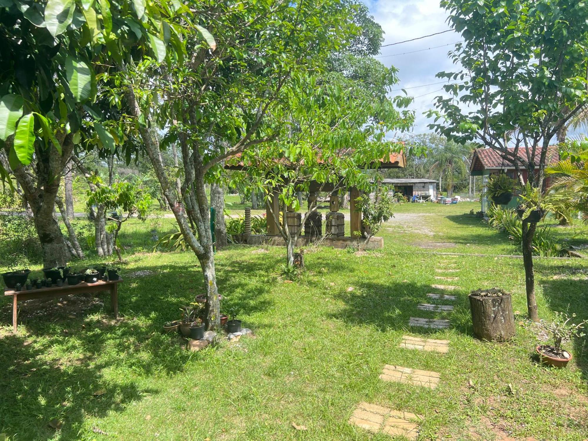 Bed and Breakfast Morada Fenix Guarda do Embaú Exterior foto